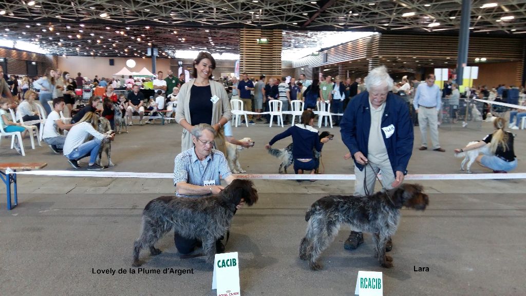 De La Plume D'argent - SPECIALE GRIFFON KORTAHS LYON 21/04/2018