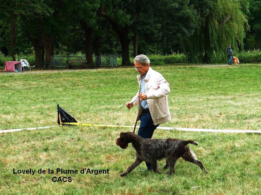 De La Plume D'argent - SPECIALE GRIFFON KORTHALS CHALETTE 23/07/2017