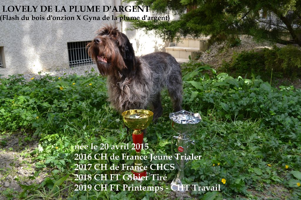 TR. CH. Lovely De La Plume D'argent